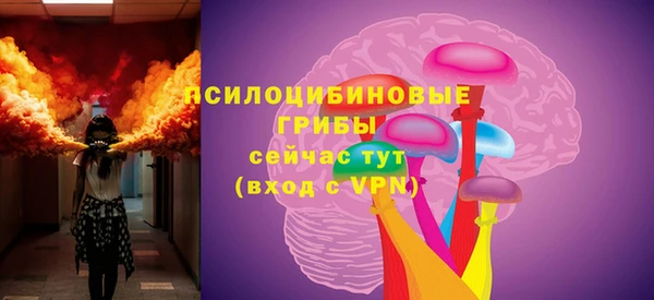 Альфа ПВП Аркадак
