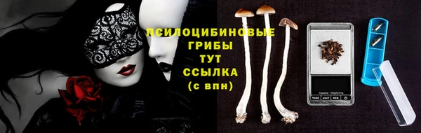 Альфа ПВП Аркадак