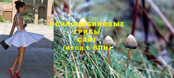 экстази Арсеньев