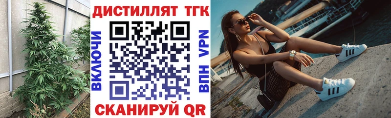 ТГК концентрат Инта